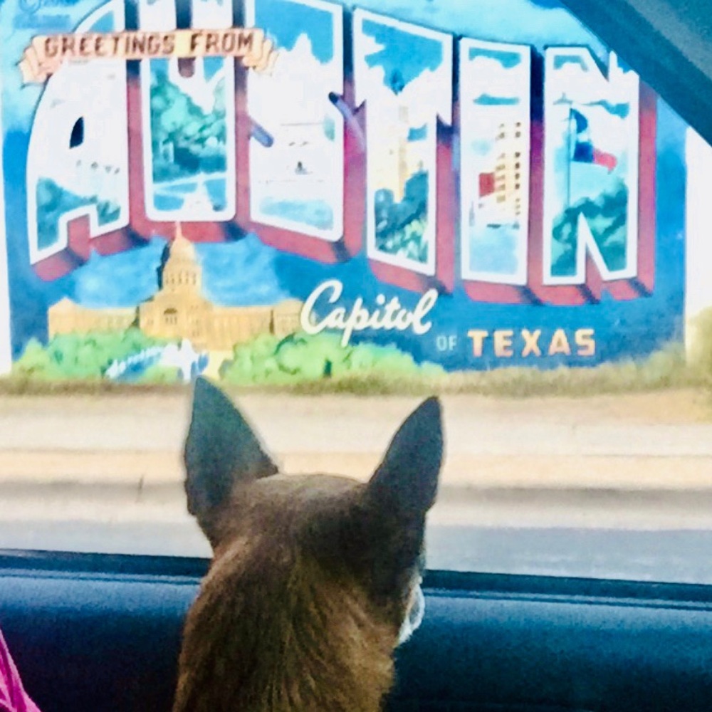 Meet your Posher, Poshalong!